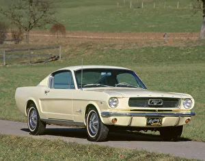 Muscle Car Prints: 1966 Ford Mustang Fastback