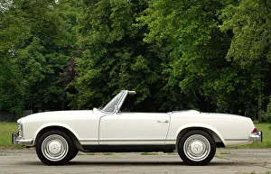 1966 Prints: 1966 Mercedes Benz 230 SL