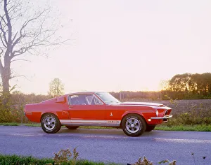 Muscle Car Prints: 1968 Ford mustang GT350 Shelby cobra