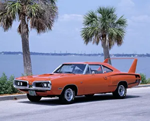 Palm Trees Prints: 1970 Dodge Superbee