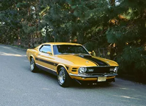 1970 Prints: 1970 Ford Mustang Twister