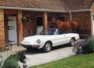 1974 Gallery: 1974 Alfa Romeo Spyder. Creator: Unknown