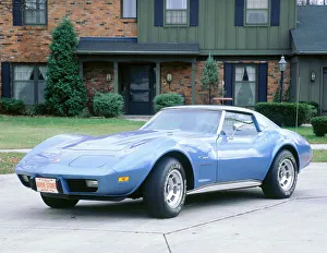 Muscle Car Prints: 1976 Chevrolet Corvette 350 cid