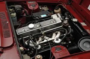 1976 Prints: 1976 Triumph 2500s