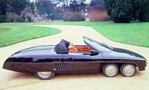 1978 Prints: 1978 Panther 6