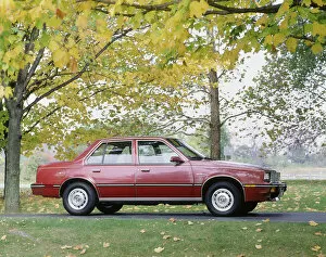 Autumnal Gallery: 1983 Cadillac Cimarron. Creator: Unknown