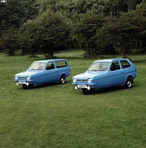 Reliant Prints: 1983 Reliant Robin
