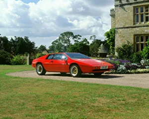 Lawn Prints: 1985 Lotus Esprit