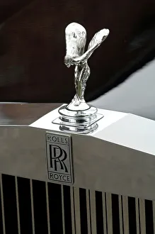 Royce Prints: 1985 Rolls Royce Camargue