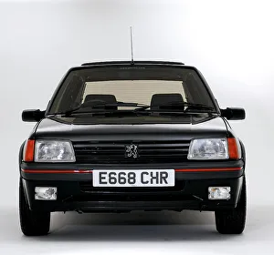 Peugeot Prints: 1987 Peugeot 205 GTI 1.6