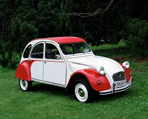 Curved Prints: 1990 Citroen 2CV 6
