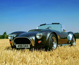 Auto Prints: 1990 Dax Cobra Tojiero