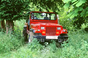 Off Road Prints: 1993 Jeep Wrangler