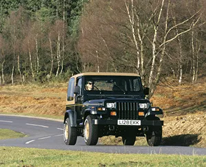 1994 Jeep Wrangler Limited. Creator: Unknown