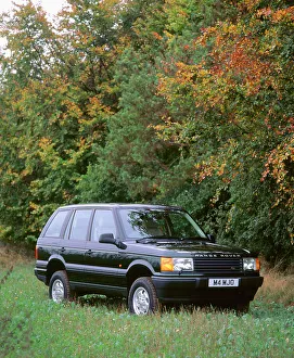 4by4 Prints: 1996 Range Rover SE