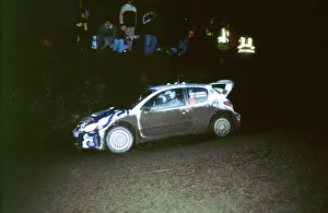 Rally Race Prints: 1999 Peugeot 206 WRC Network Q Rally, Gronholm