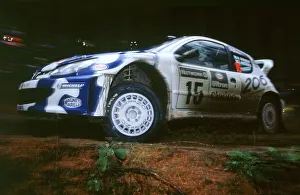 Rally Race Prints: 1999 Peugeot 206 WRC Network Q Rally, Gronholm