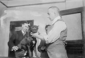 Veterinarian Prints: 1st patient, Dog Hospital, N.Y. City, 1914. Creator: Bain News Service