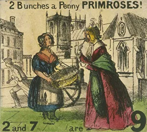 2 Bunches a Penny Primroses!, Cries of London, c1840. Artist: TH Jones