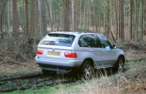 Woodlands Prints: 2001 BMW X5 4.4i