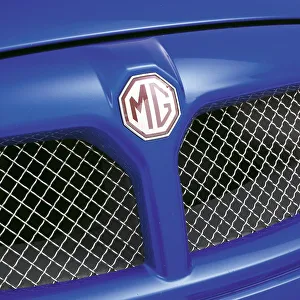 Badge Prints: 2001 MG ZT 190
