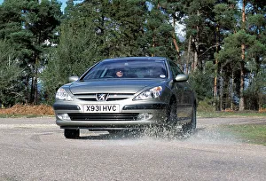 2001 Peugeot 607