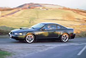 Cornering Prints: 2002 Ford Mustang Bullitt