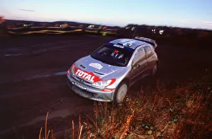 Corner Prints: 2002 Peugeot 206 WRC, Richard Burns, Network Q Rally