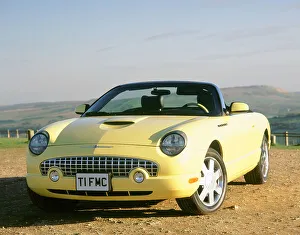 Convertible Prints: 2003 Ford Thunderbird convertible