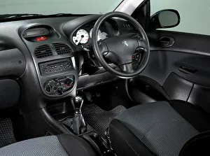 Dash Prints: 2003 Peugeot 206
