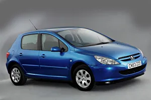 Peugeot Prints: 2003 Peugeot 307