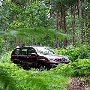 Toyota Prints: 2003 Toyota Landcruiser