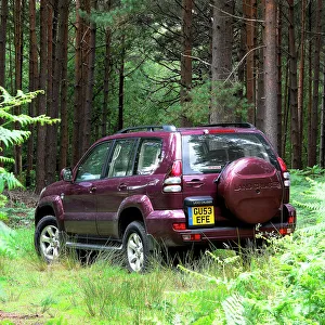 2003 Prints: 2003 Toyota Landcruiser
