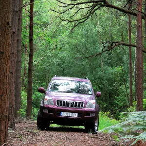 Track Prints: 2003 Toyota Landcruiser