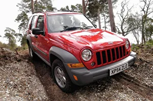 Cherokee Prints: 2004 Jeep Cherokee