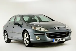 Peugeot Prints: 2004 Peugeot 407