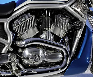 Davidson Prints: 2005 Harley Davidson VRSCR Street Rod