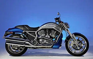 2005 Prints: 2005 Harley Davidson VRSCR Street Rod