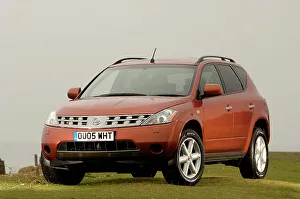 Dark Windows Prints: 2005 Nissan Murano