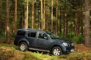 Rugged Prints: 2005 Nissan Pathfinder 2.5 Tspec dci
