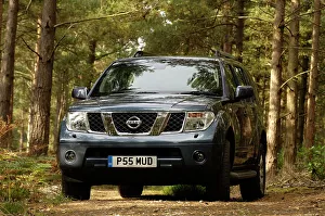 Track Prints: 2005 Nissan Pathfinder 2.5 Tspec dci