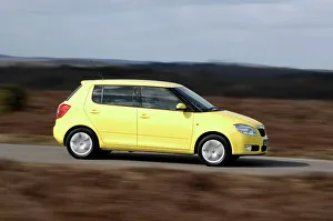 Skoda Prints: 2008 Skoda Fabia 2