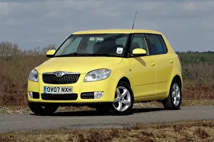 Skoda Prints: 2008 Skoda Fabia 2
