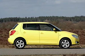 Skoda Prints: 2008 Skoda Fabia 2