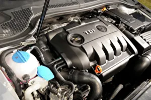 Skoda Prints: 2008 Skoda Superb engine