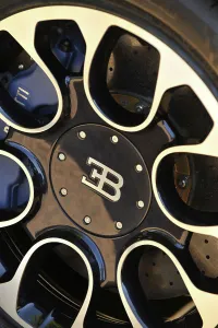 Spyder Prints: 2009 Bugatti Veyron Sang Bleu