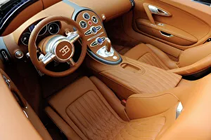 2009 Bugatti Veyron Sang Bleu