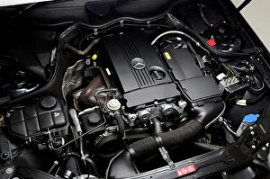 2009 Prints: 2009 Mercedes Benz CLK Cabriolet