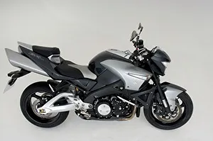 Superbike Prints: 2009 Suzuki B-King