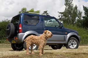 Four Wheel Drive Prints: 2009 Suzuki Jimny SZ4 with pet dog
